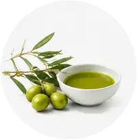 Εξαιρετική Ποιότητα